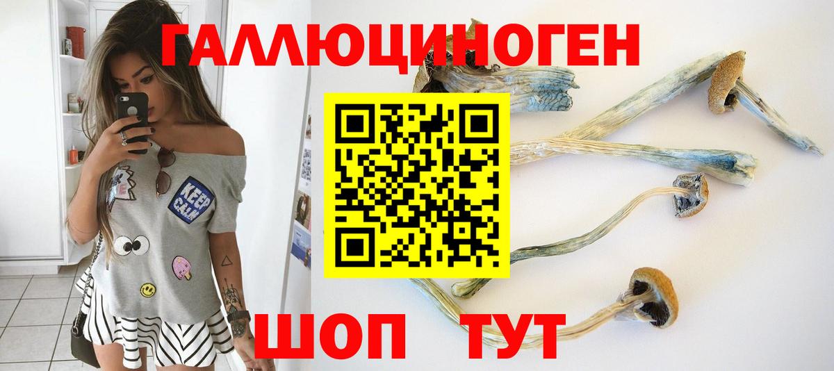 Миллерово  Галлюциногенные грибы Magic Shrooms  Галлюциногенные грибы MAGIC MUSHROOMS  Вход с VPN 